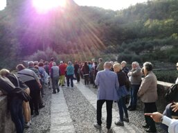 36e973d4-2769-4a0d-98b5-67b7c365d1f9