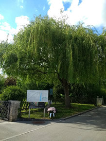 e562be7b-fb1b-4d8e-9129-4da405293c59