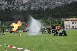 17735896-baed-4557-9d64-648fd9e14b14