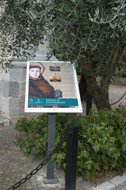 02b61826-776f-4833-a228-732963d2d016