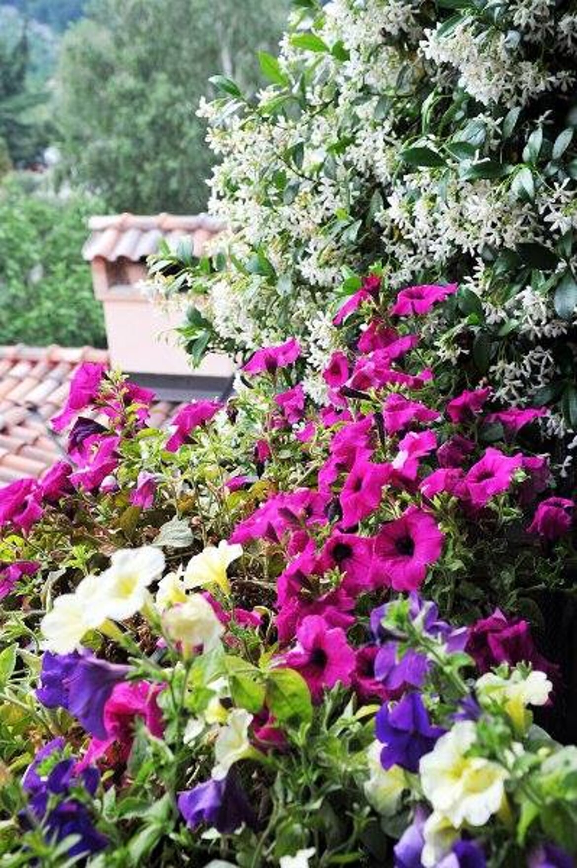 3 EDIZIONE CONCORSO 3 EDIZIONE CONCORSO