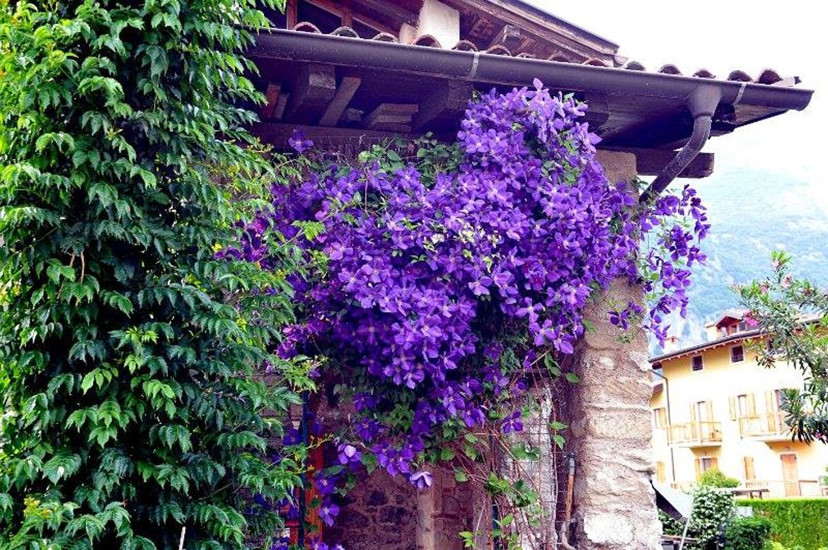 3 EDIZIONE CONCORSO 3 EDIZIONE CONCORSO