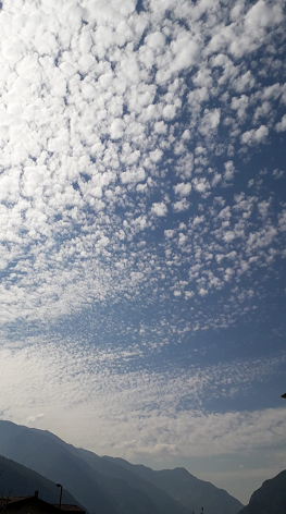 d2cbe679-0064-4f81-aa01-1e34282c1cb4 d2cbe679-0064-4f81-aa01-1e34282c1cb4