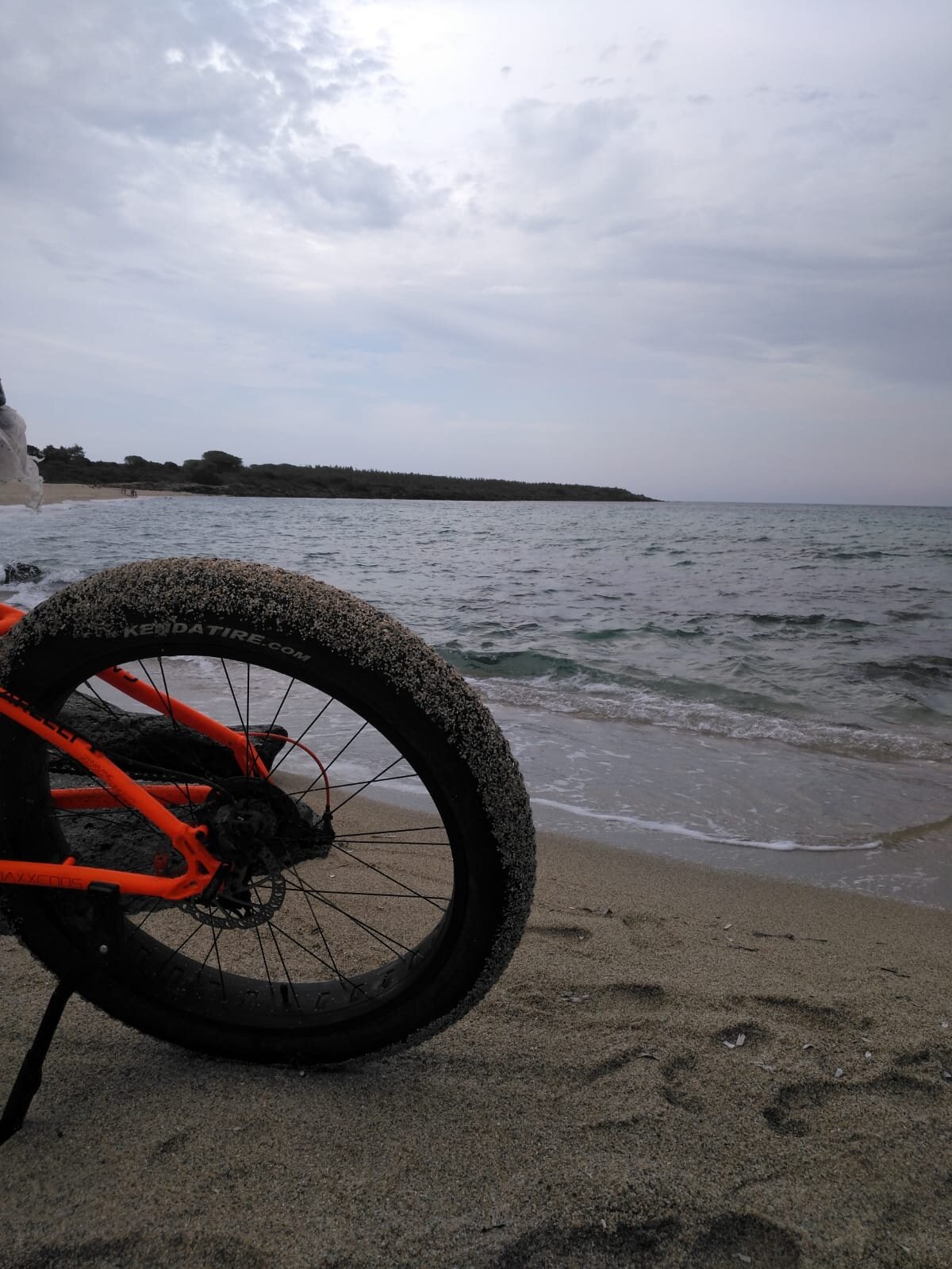 Il Parco di Molentargius