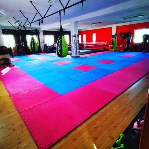 4847031a-0818-4295-8390-83b5feef8547