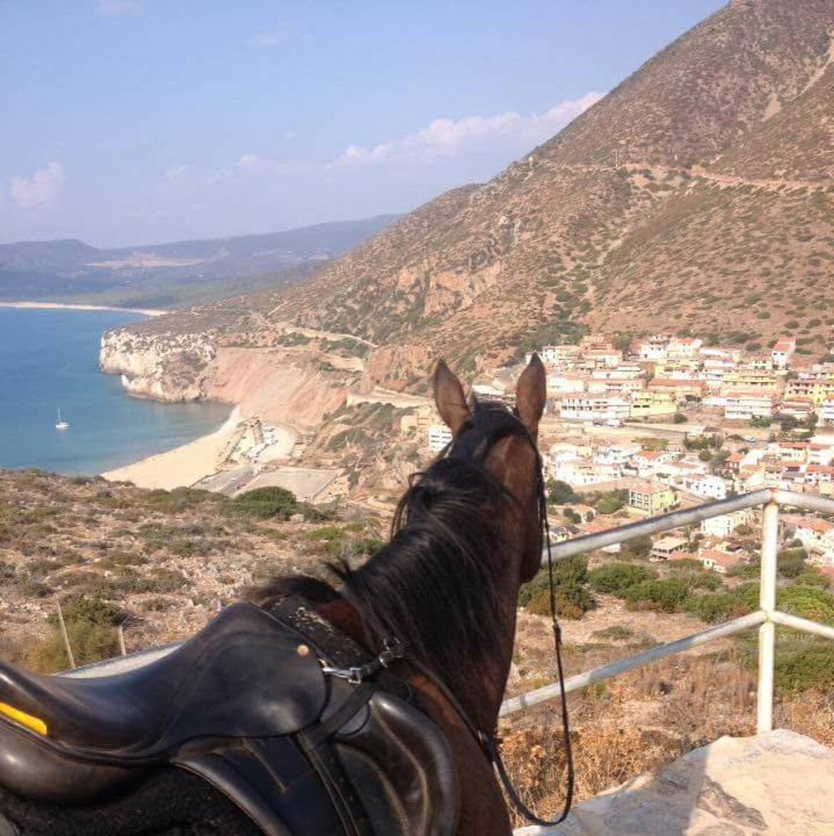 36ca33b1-4579-4ffb-b8c5-84e7062f6520