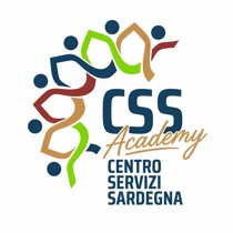 logo css academy.jpeg