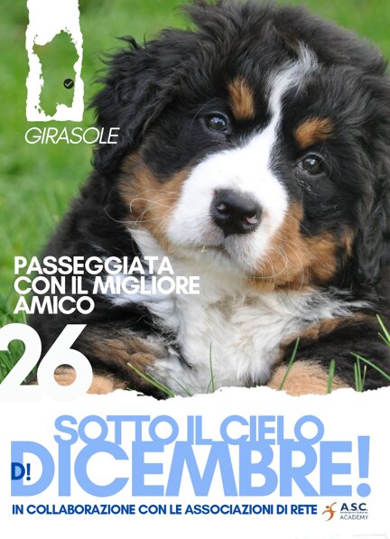 dicembre (2)_page-0010.jpeg