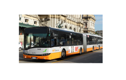 80892450-3a55-46a6-af03-37de832298fc