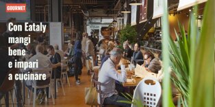 8772e709-6bd0-474a-9fa3-a5436ef5e413