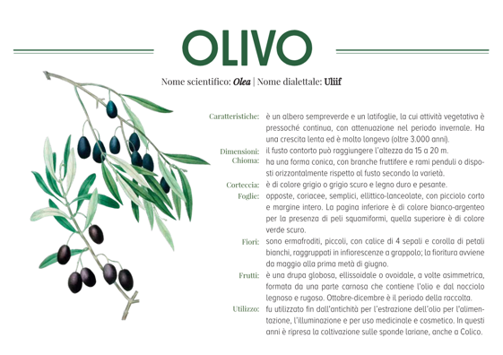 7aaeea93-314a-4b86-920c-9de2a9590ff6 7aaeea93-314a-4b86-920c-9de2a9590ff6