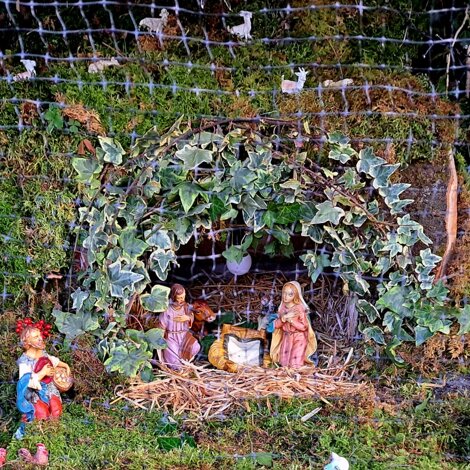 Il%20presepe%20degli%20amici%20del%20muretto%201.jpeg Il%20presepe%20degli%20amici%20del%20muretto%201.jpeg