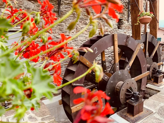 4aa91e76-0afb-4b45-ab43-15680ca68573