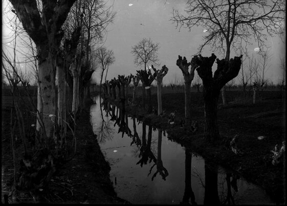 0b1f560d-3325-48ba-9c8f-d18a061188ba