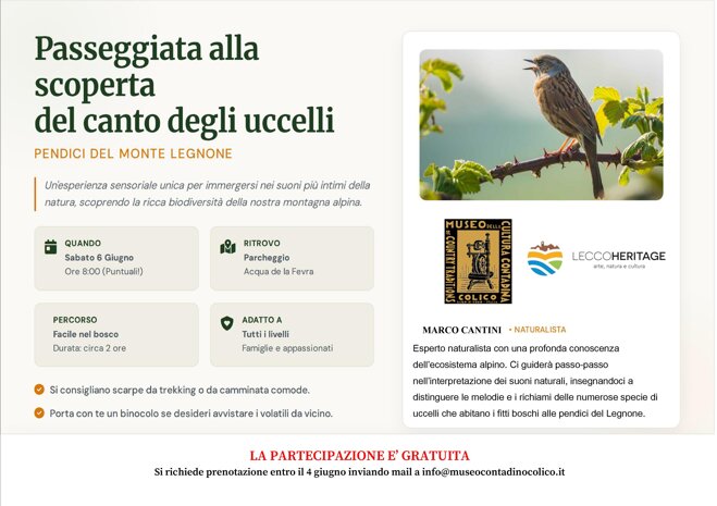 locandina per museo.jpeg locandina per museo.jpeg