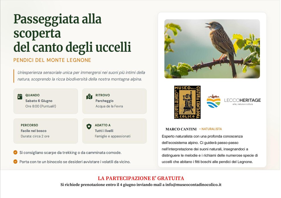 locandina per museo.jpeg locandina per museo.jpeg