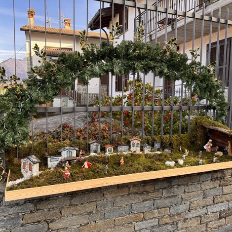 img_1618.jpeg img_1618.jpeg