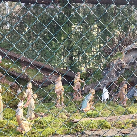 img-20251223-wa0006.jpeg img-20251223-wa0006.jpeg