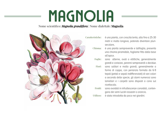 e684fa4b-1100-4c31-b041-a4f36fd35506 e684fa4b-1100-4c31-b041-a4f36fd35506