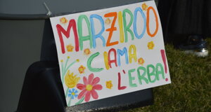 _dsc2187.jpeg _dsc2187.jpeg