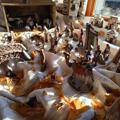 img_20251213_113638.jpeg img_20251213_113638.jpeg