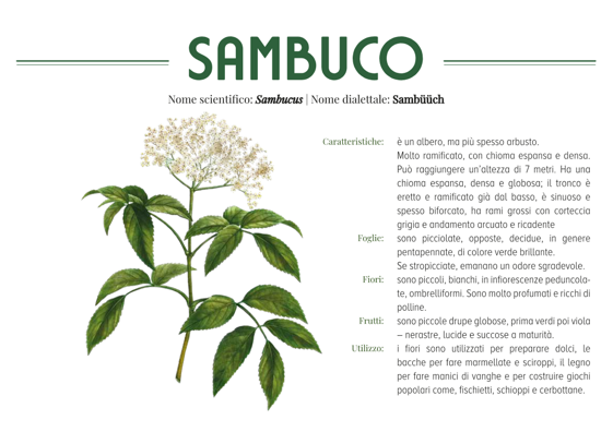 3e6dcb38-982d-4b37-9dc1-597d20cdbe71 3e6dcb38-982d-4b37-9dc1-597d20cdbe71