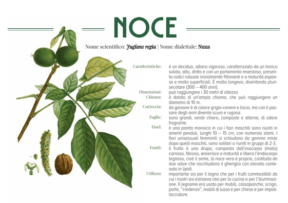 ea3466df-7e10-4ca5-96c6-75deecef2d09 ea3466df-7e10-4ca5-96c6-75deecef2d09