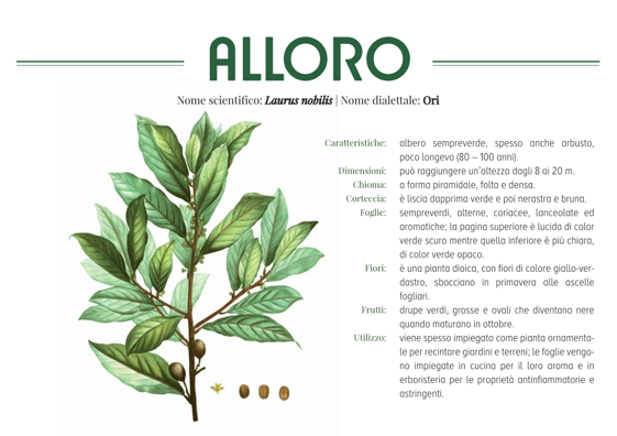 038cdfc6-4db4-4428-9112-a6c2826f771b 038cdfc6-4db4-4428-9112-a6c2826f771b