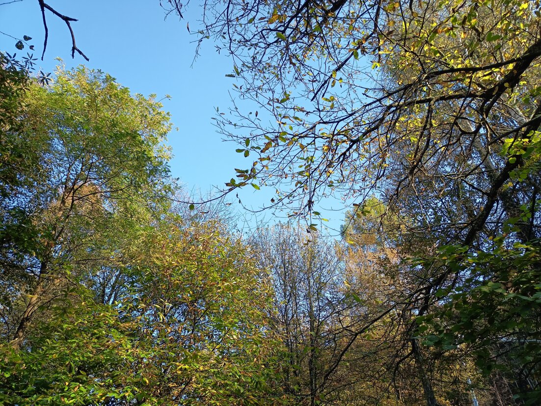 2211e804-263e-4dcc-b506-a2aff312de0a