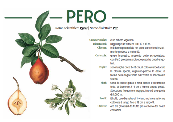 788d80bc-fe23-4d76-81ea-533037611985 788d80bc-fe23-4d76-81ea-533037611985