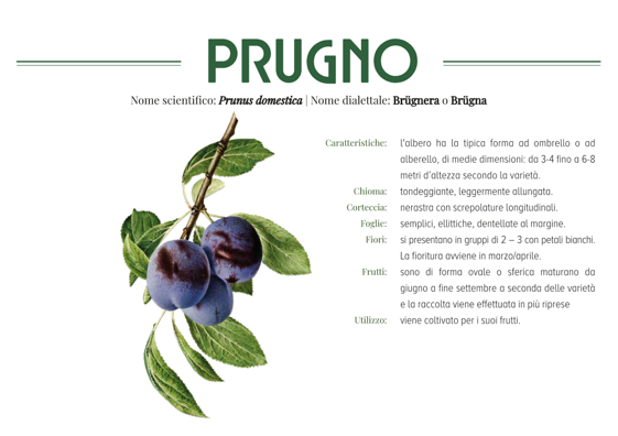 b8856675-60b6-4870-ad55-0572d490311b b8856675-60b6-4870-ad55-0572d490311b