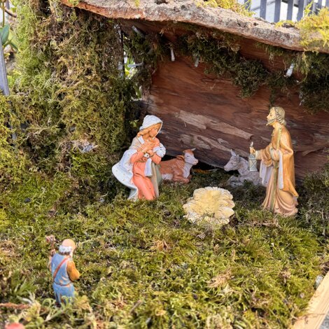 img_1619.jpeg img_1619.jpeg