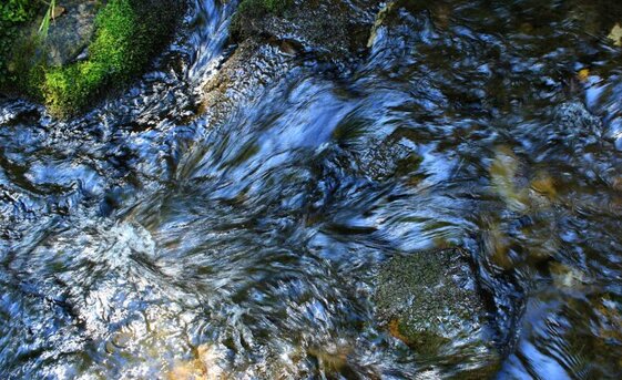 8f2f108f-6785-4ff7-8523-c7e62e4f1c7e