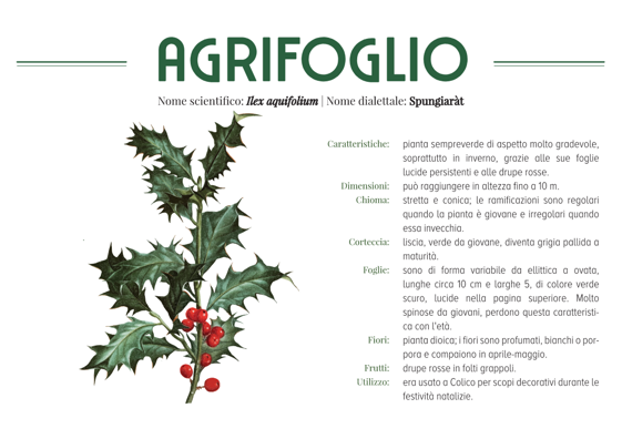 9a830929-1623-4aac-92dd-5823cebbffa4 9a830929-1623-4aac-92dd-5823cebbffa4