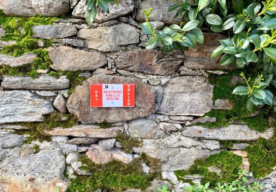 9626b46b-1e59-4d8a-968f-1dee7baa0fd9