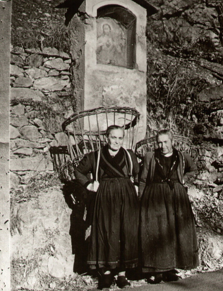 3d5ed90d-7c11-4bb4-8a0f-fa03184b2868 3d5ed90d-7c11-4bb4-8a0f-fa03184b2868