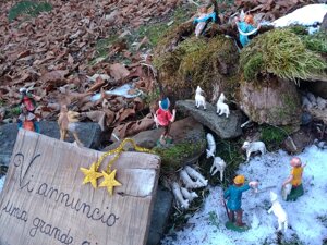 23%20(2).jpeg 23%20(2).jpeg