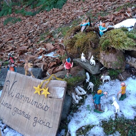 23%20(2).jpeg 23%20(2).jpeg