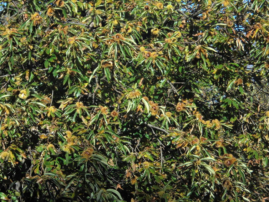 3d796d46-9d9c-44e1-a701-12a1a3f95efa