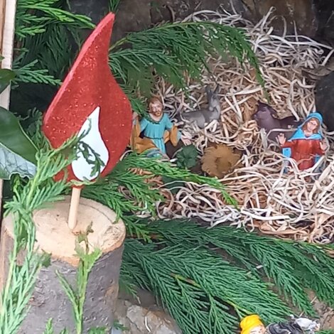 22%20(2).jpeg 22%20(2).jpeg