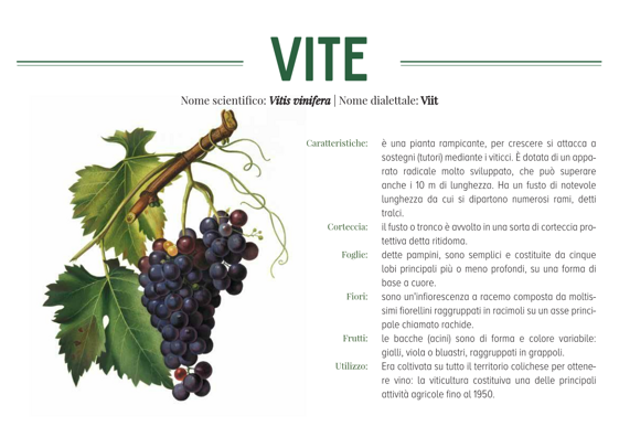 b5e13503-b2d6-4cff-b69c-16e297fbece5 b5e13503-b2d6-4cff-b69c-16e297fbece5