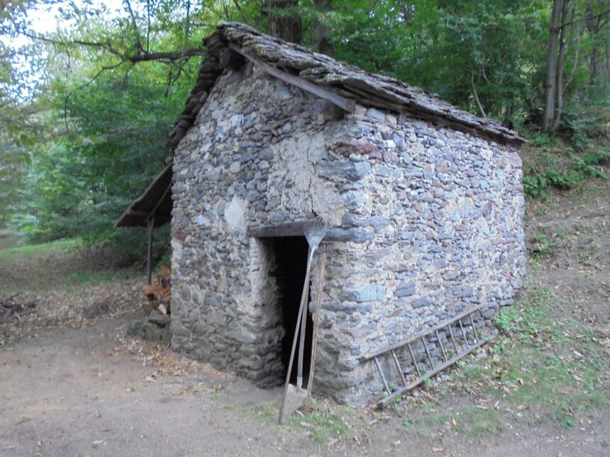 e0da6b54-8823-4c07-8fcb-ca056a1419a9