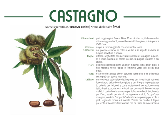 5d9dfeda-87ee-4e3e-bdf2-c278d8fac44b 5d9dfeda-87ee-4e3e-bdf2-c278d8fac44b