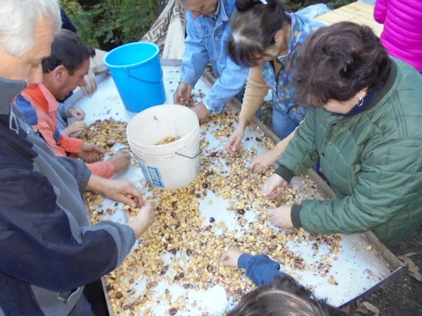 f2bb2830-0f70-4baf-a254-58a8417ae4aa