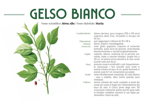 084c2ab5-4b5d-4bb5-9fe4-bbf708106006 084c2ab5-4b5d-4bb5-9fe4-bbf708106006