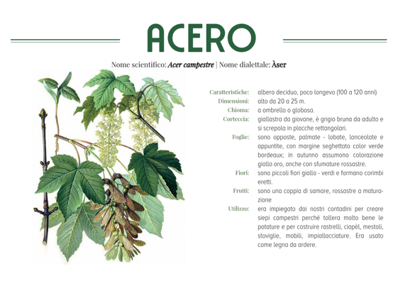 814a90ba-4e27-4f1e-be4b-bc78466af516 814a90ba-4e27-4f1e-be4b-bc78466af516