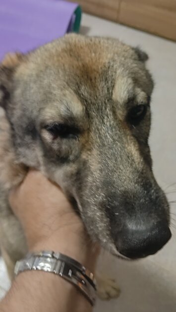 img20260605202043.jpeg