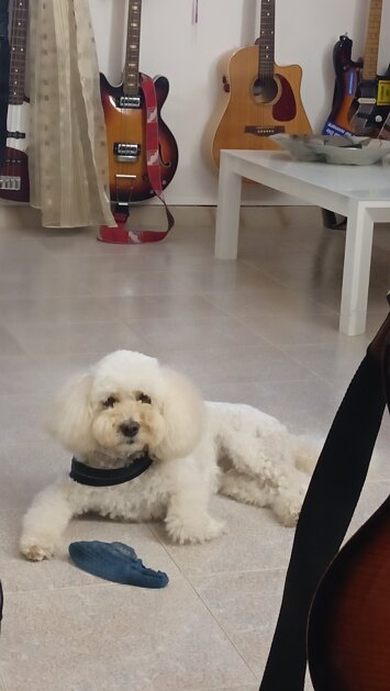 img20260728162108.jpeg