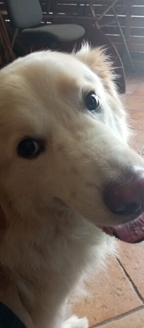 img_20240804_121123.jpeg