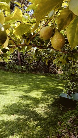 eyJlbiI6ImdpYXJkaW5vIn0=